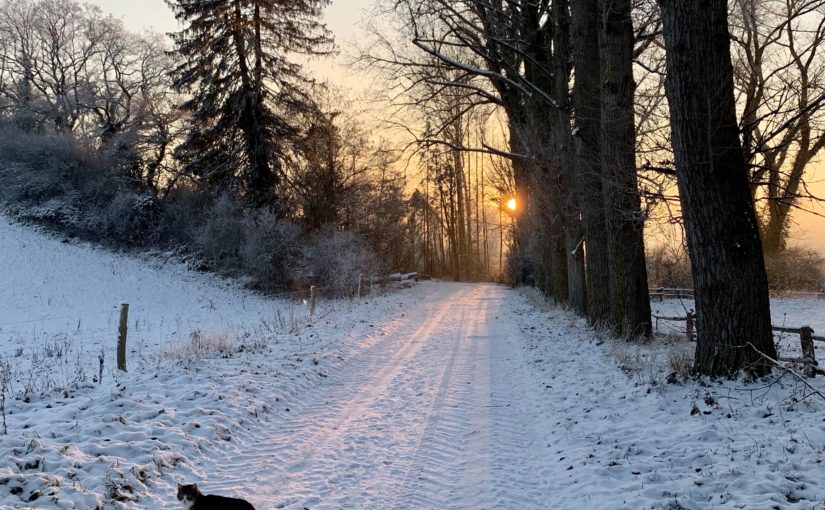 Winterwunderland